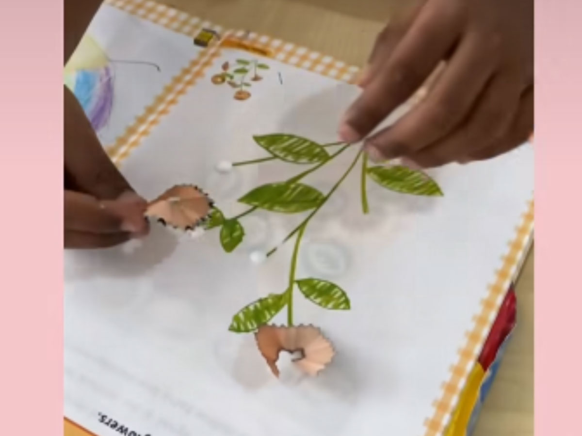 Pencil Shaving Blossoms