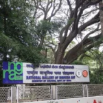 National Public School, Varthur National Gallery Of Modern Art Nps Varthur Pic 4